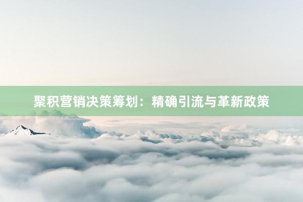 聚积营销决策筹划：精确引流与革新政策